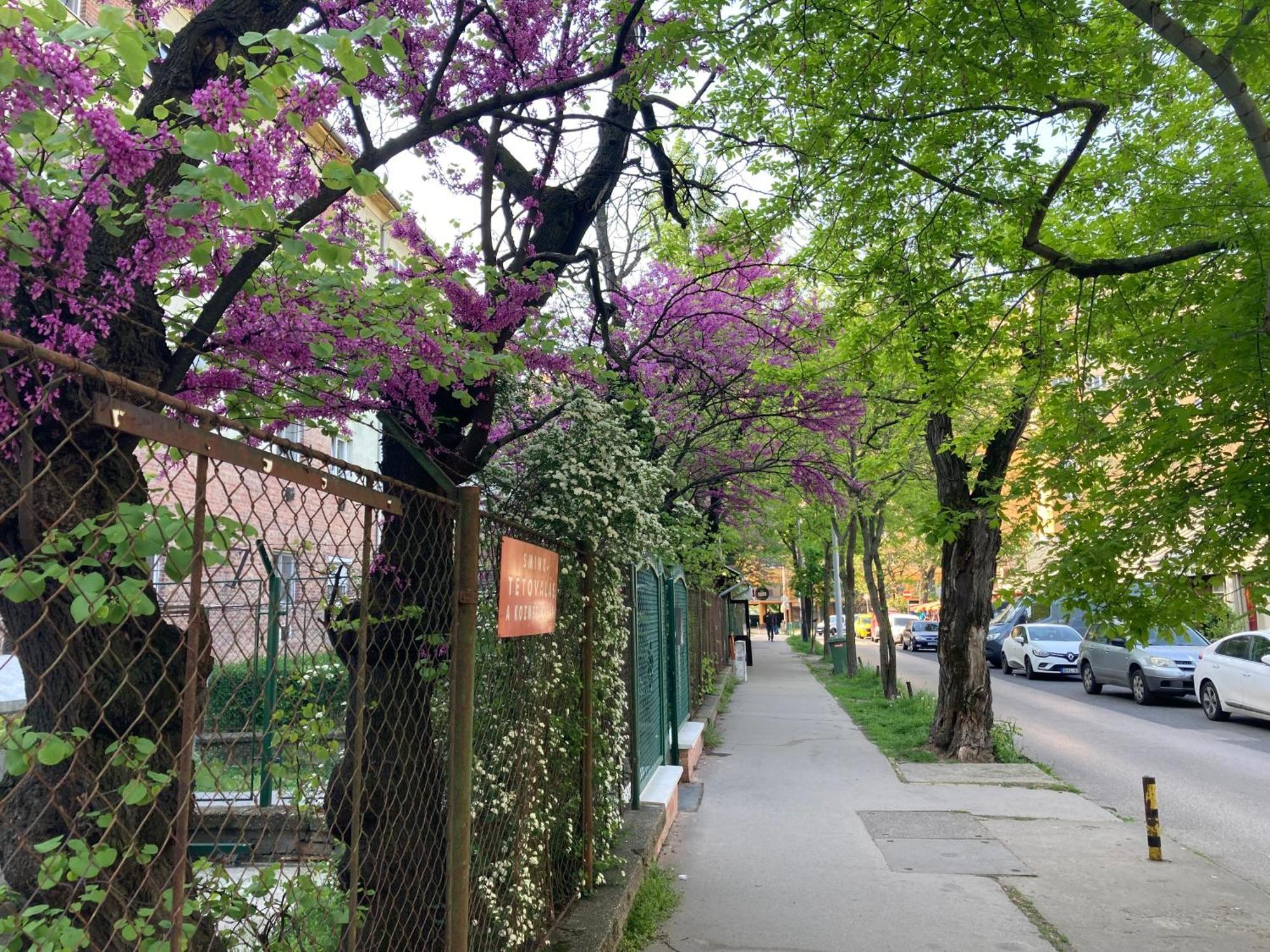 Poppy Flower Apartment Budapest Exterior foto